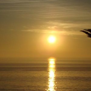 Meet your Posher, Mohamed